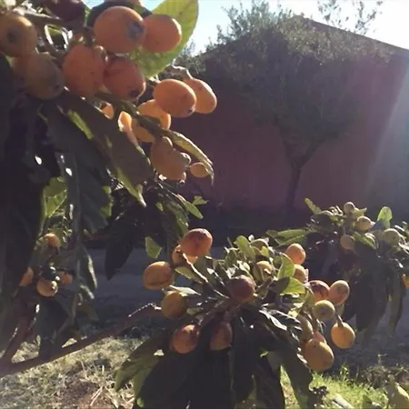 Holidayfarm Monte Alto Konukevi